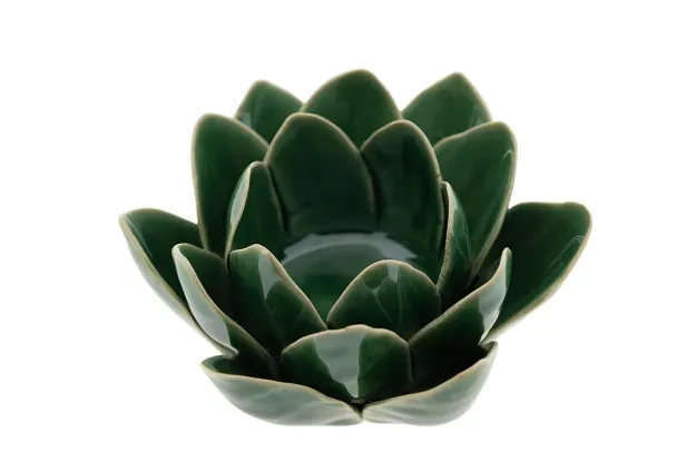 Bild von Lotus grün, klein