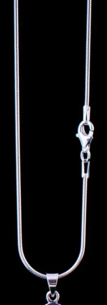 Bild von Schlangenkette 70 cm