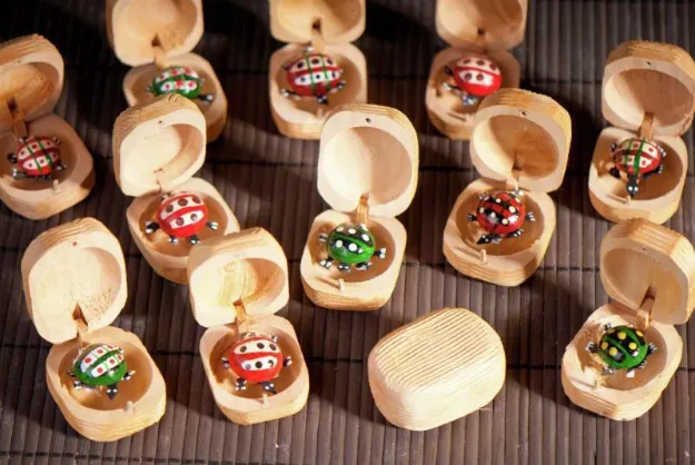 Bild von Zaubernuss mit verschiedenen Käfer