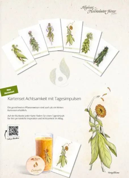 Bild von Kartenset Achtsamkeit mit Tagesimpulsen