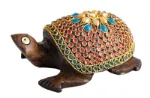 Bild von Zauberschildkröte, klein