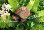 Bild von Zauberschildkröte, klein