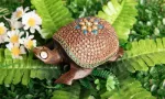 Bild von Zauberschildkröte, gross