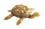 Bild von Schildkröte