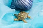 Bild von Schildkröte