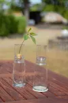 Bild von Anzuchtglas-Set mit kurzem Aufsatz, Durchmesser: 90 mm