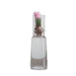 Bild von Anzuchtglas-Set mit kurzem Aufsatz, Durchmesser: 90 mm