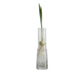 Bild von Anzuchtglas-Set mit langen Aufsatz, Durchmesser: 9 cm