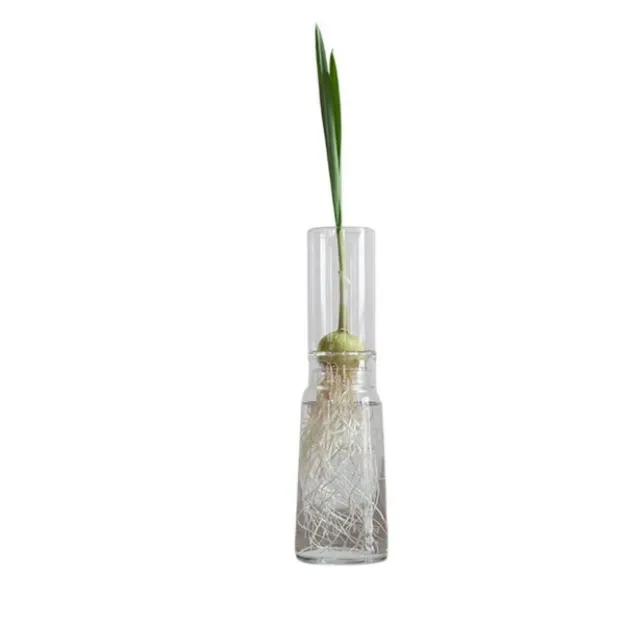 Bild von Anzuchtglas-Set mit langen Aufsatz, Durchmesser: 9 cm