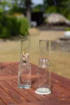 Bild von Anzuchtglas-Set mit langen Aufsatz, Durchmesser: 9 cm