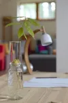 Bild von Anzuchtglas-Set mit langen Aufsatz, Durchmesser: 9 cm