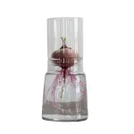 Bild von Anzuchtglas-Set mit langem Aufsatz, Durchmesser: 13 cm