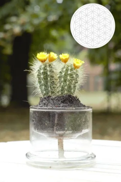 Bild von Selbstbewässerungstopf Blume des Lebens 130 mm