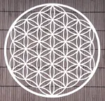 Bild von Blume des Lebens 25 cm