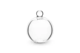 Zeige Details für Deckel aus Glas für Alladin Family 2,3l Bild von Deckel aus Glas für Alladin Family 2,3l