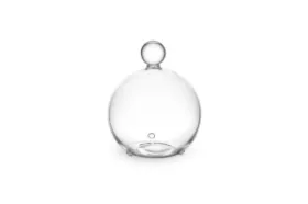 Zeige Details für Deckel aus Glas für Beauty 5l Bild von Deckel aus Glas für Beauty 5l