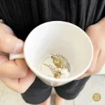 Bild von kleiner becher ernest et célestine, VE-6