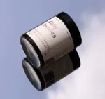 Bild von Daily Berries - Wildpflanzenpulver 75g