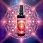 Bild von Venusessenz für das Venusjahr 2025 von Melanie Missing, 100 ml