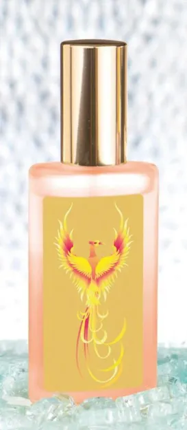 Bild von Phönix - Neubeginn