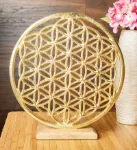 Bild von Ambiente Element Blume des Lebens aus Gold