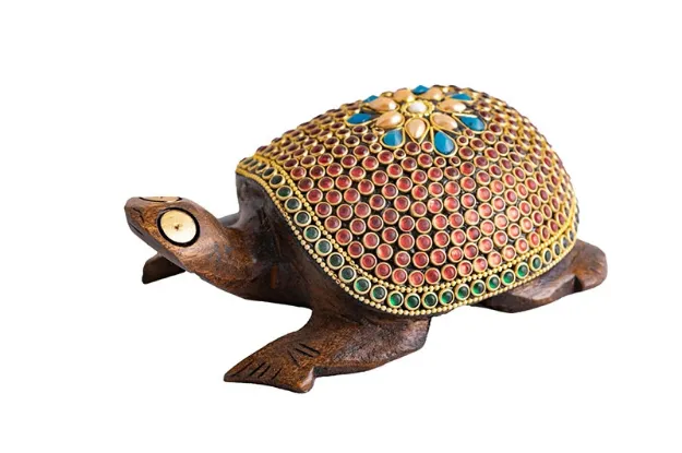 Bild von Grosse Zauberschildkröte