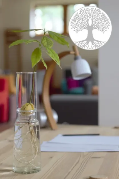 Bild von Anzuchtglasset mit langem Aufsatz Lebensbaum, Durchmesser: 90 mm