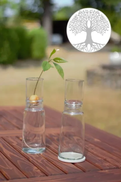 Bild von Anzuchtglasset mit kurzem Aufsatz Lebensbaum, Durchmesser: 90 mm