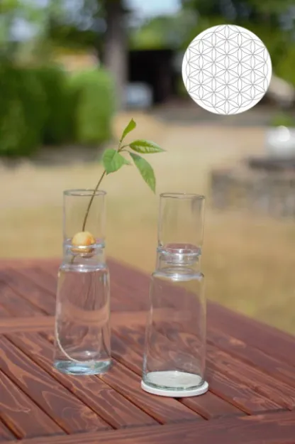 Bild von Anzuchtglasset mit kurzem Aufsatz Blume des Lebens, Durchmesser: 90 mm