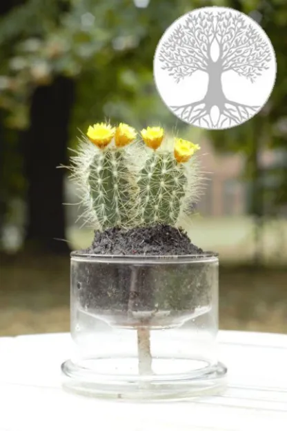 Bild von Selbstbewässerungstopf Lebensbaum 130 mm