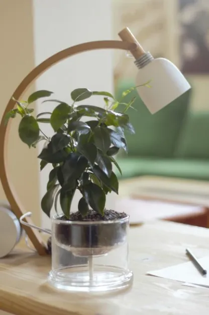 Bild von Selbstbewässerungstopf Basic 160 mm