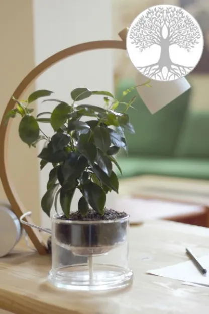 Bild von Selbstbewässerungstopf Lebensbaum 160 mm