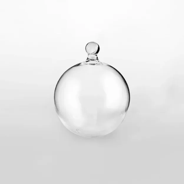 Bild von Deckel aus Glas für Miniverse 0,12l