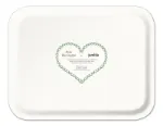 Bild von Asta Barrington Champagne/ sage green Tray 36x28cm - Jamida of Sweden