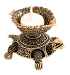 Bild von Gheelampe Schildkröte