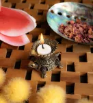 Bild von Gheelampe Schildkröte