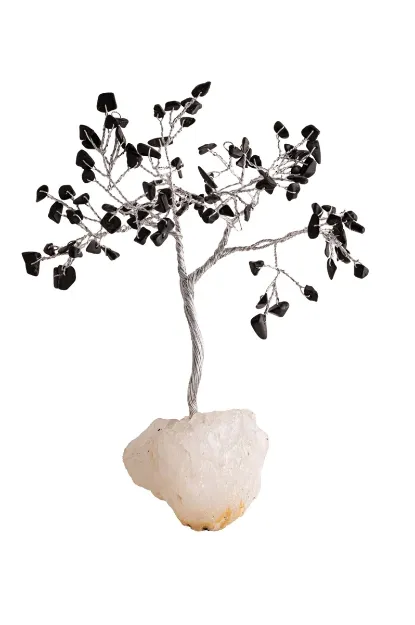 Bild von Kristallbaum Schungit