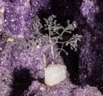 Bild von Kristallbaum Schungit