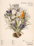 Bild von Ars Floralis - Vintage-Wochenplaner Kalender 2026