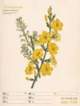 Bild von Ars Floralis - Vintage-Wochenplaner Kalender 2026