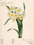 Bild von Ars Floralis - Vintage-Wochenplaner Kalender 2026