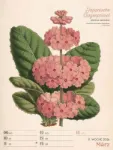 Bild von Ars Floralis - Vintage-Wochenplaner Kalender 2026