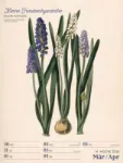 Bild von Ars Floralis - Vintage-Wochenplaner Kalender 2026