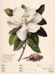 Bild von Ars Floralis - Vintage-Wochenplaner Kalender 2026
