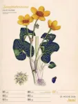 Bild von Ars Floralis - Vintage-Wochenplaner Kalender 2026