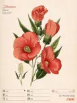 Bild von Ars Floralis - Vintage-Wochenplaner Kalender 2026
