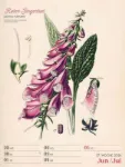 Bild von Ars Floralis - Vintage-Wochenplaner Kalender 2026