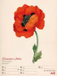 Bild von Ars Floralis - Vintage-Wochenplaner Kalender 2026