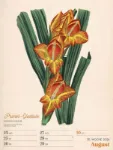 Bild von Ars Floralis - Vintage-Wochenplaner Kalender 2026