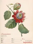Bild von Ars Floralis - Vintage-Wochenplaner Kalender 2026